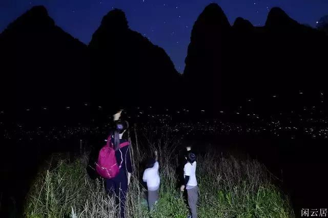 雷竞技比分